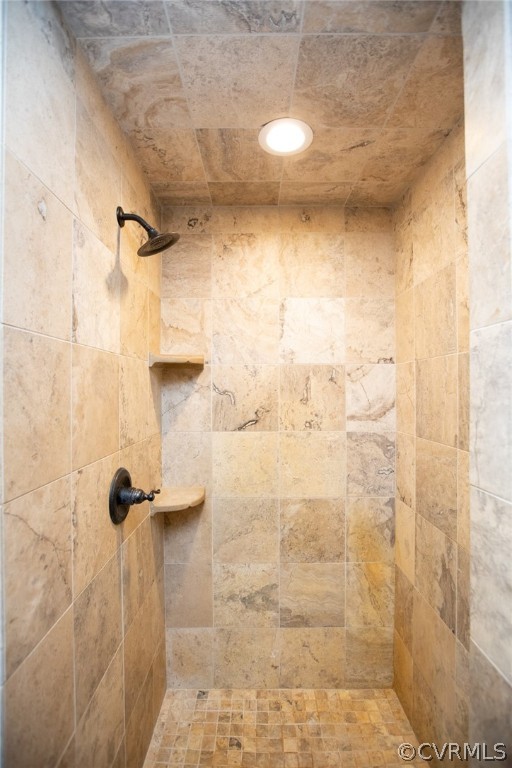 2232 Mt Pleasant Road Pamplin, VA 23958 - Photo 21 of 50 a bathroom with a shower
