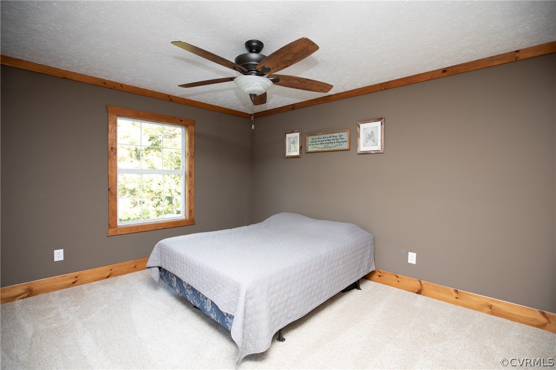 2232 Mt Pleasant Road Pamplin, VA 23958 - Photo 26 of 50 a bedroom with a bed and window