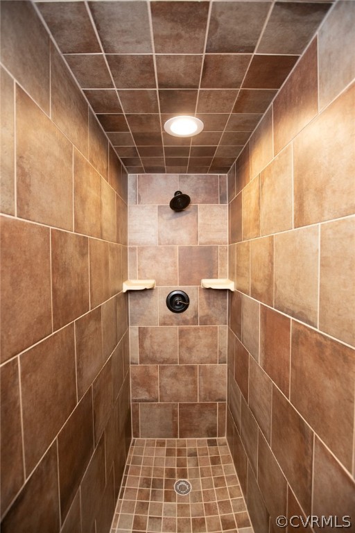 2232 Mt Pleasant Road Pamplin, VA 23958 - Photo 37 of 50 a bathroom with a shower