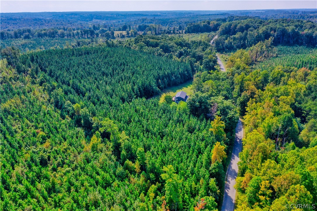2232 Mt Pleasant Road Pamplin, VA 23958 - Photo 46 of 50 an aerial view of a lush green valley