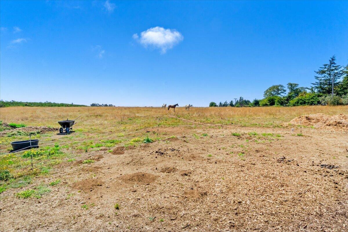 3466 Dows Prairie Road McKinleyville, CA 95519 - Photo 59 of 81 Gallery Image 59