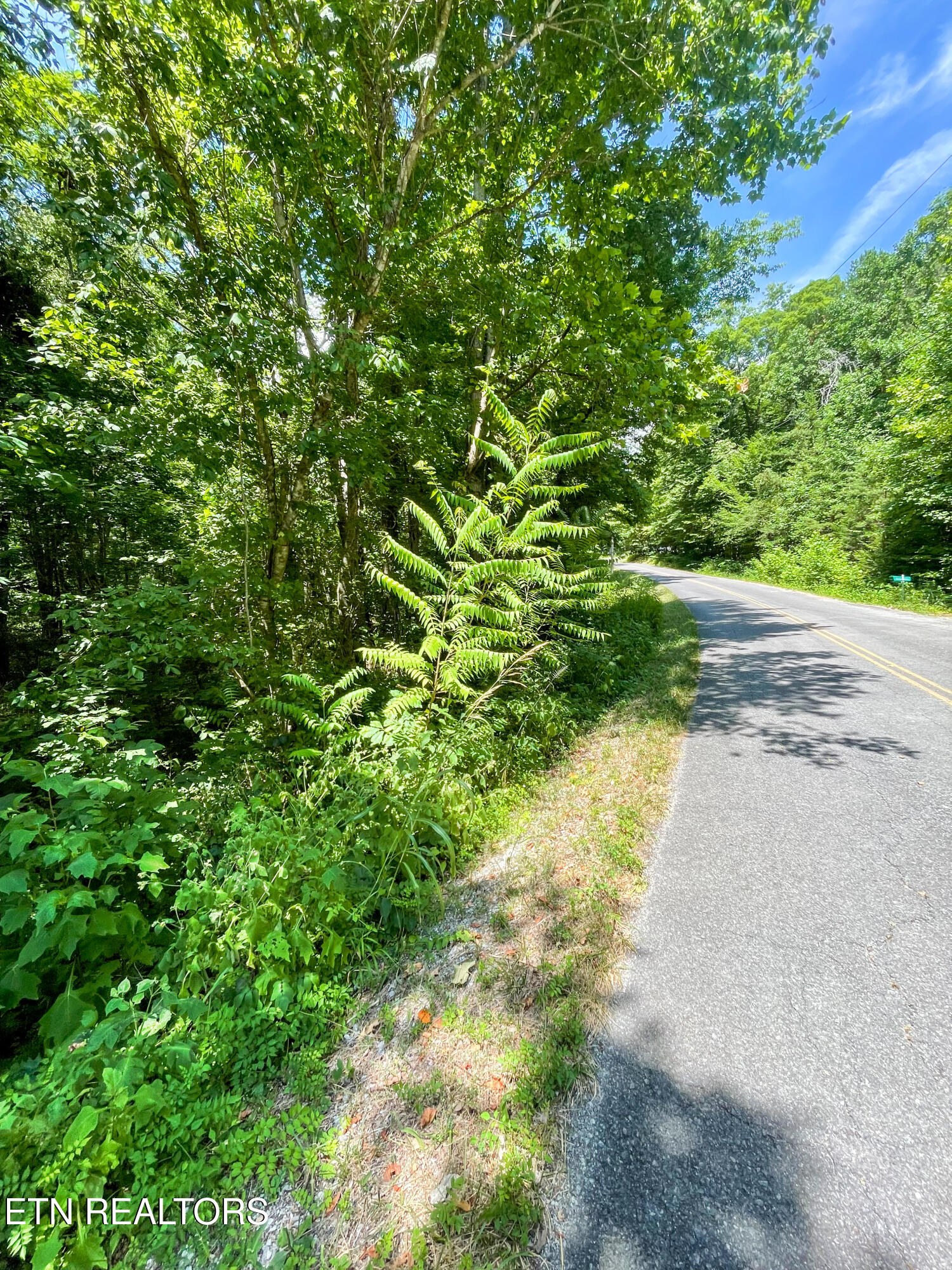 1-2 Pates Hills Road Mosheim, TN 37818 - Photo 13 of 14 IMG_0410