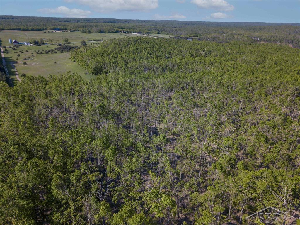 1336 West Huffman Lake Road Vanderbilt, MI 49795 - Photo 5 of 10 Gallery Image 5