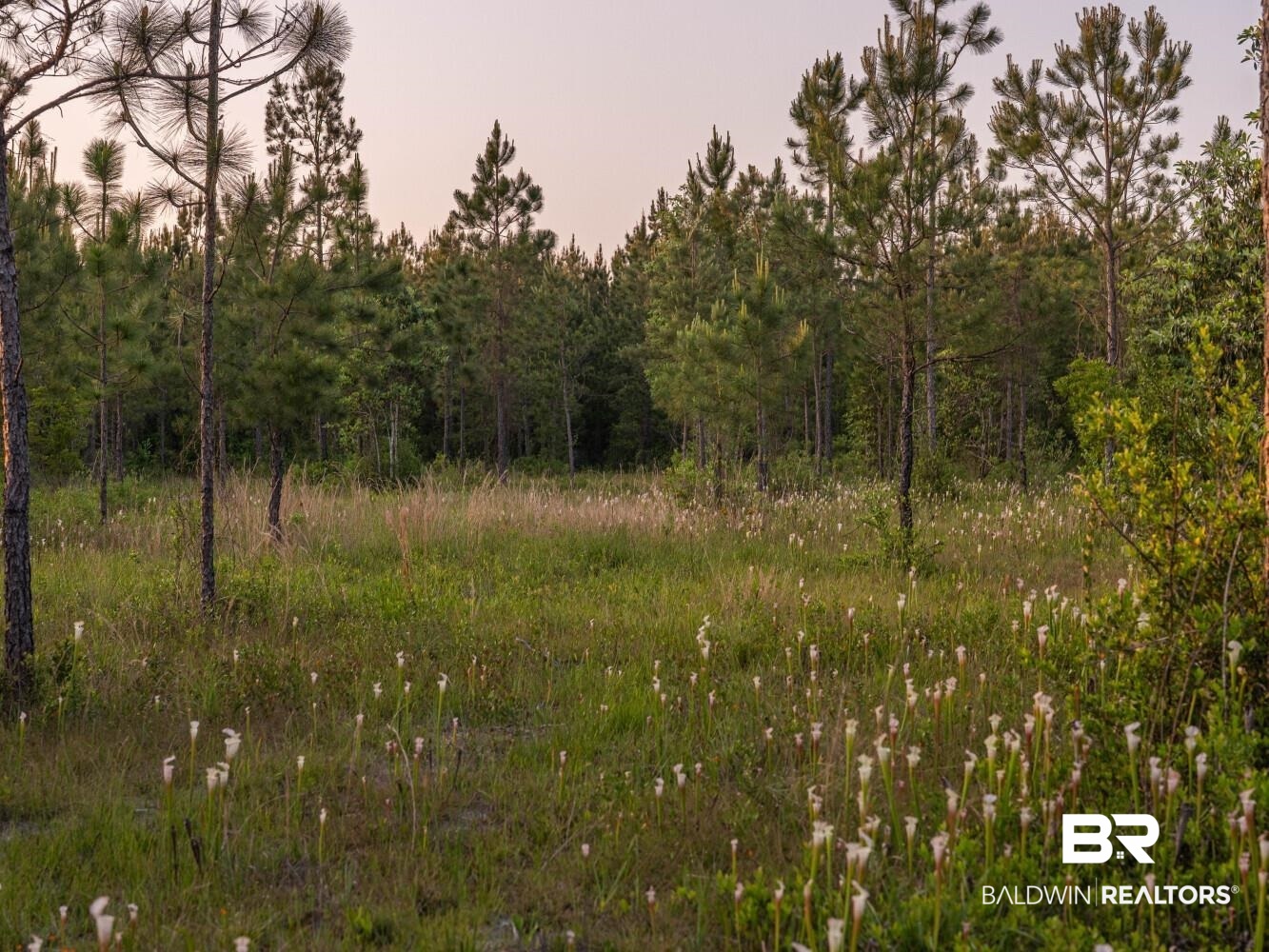 0 Lonnie Hadley Road Perdido, AL 36562 - Photo 26 of 39