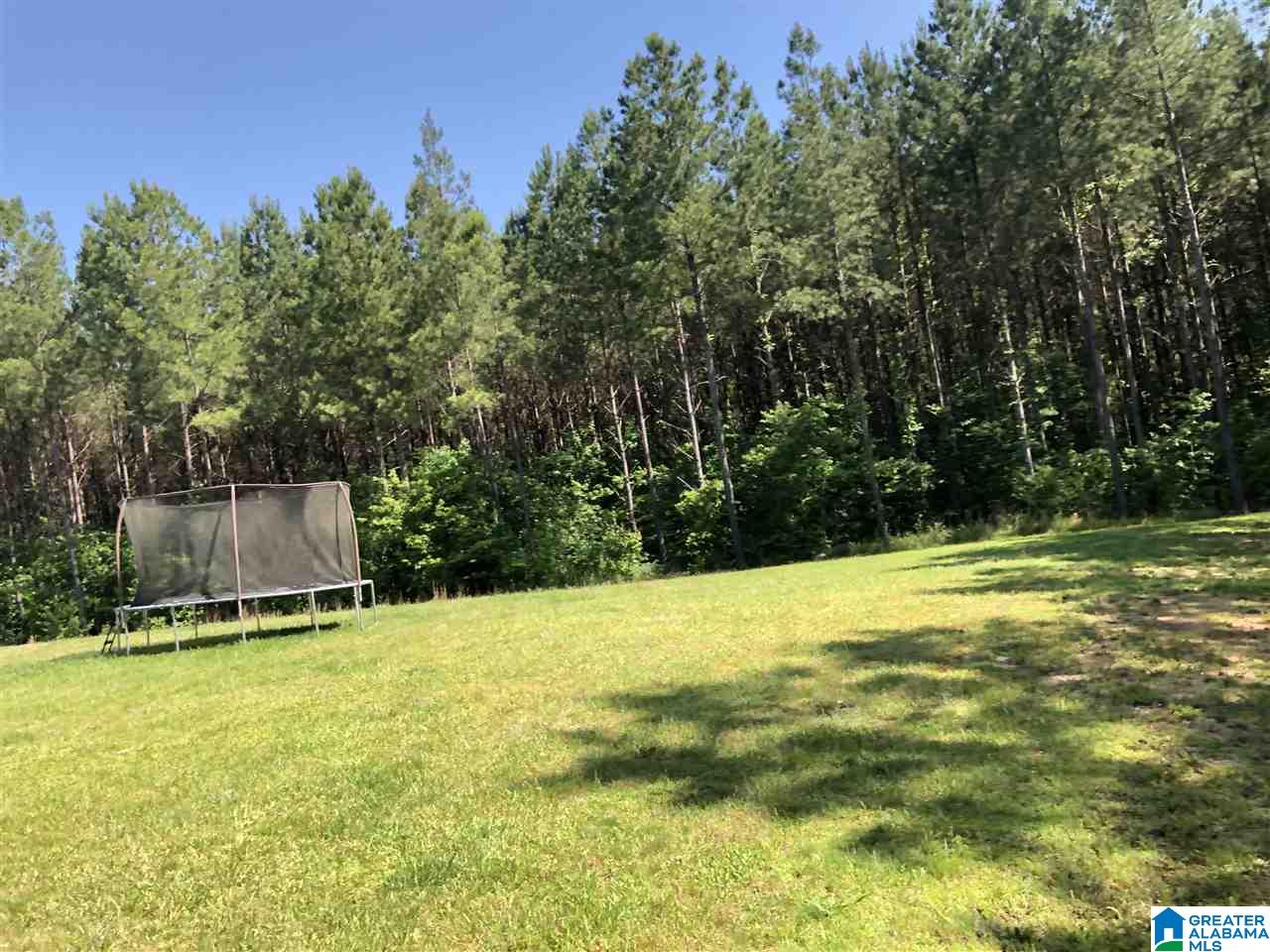 1210 Florida Road Pell City, AL 35125 - Photo 40 of 50