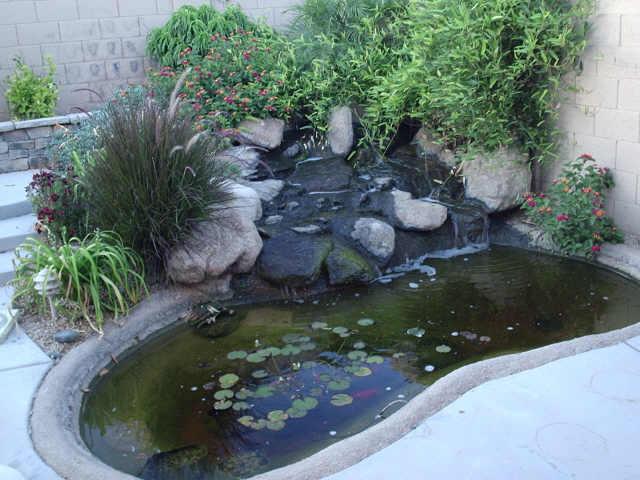 12910 West Cheery Lynn Road Avondale, AZ 85392 - Photo 2 of 6 Additional Photo