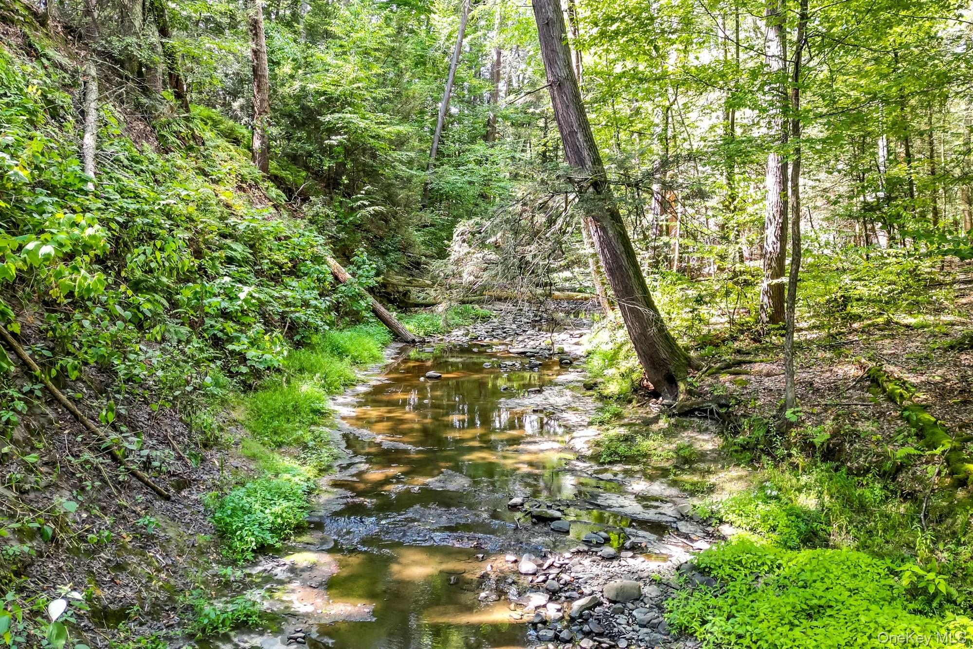 35 Fern Hollow Road Stone Ridge, NY 12484 - Photo 3 of 40 a view of a yard
