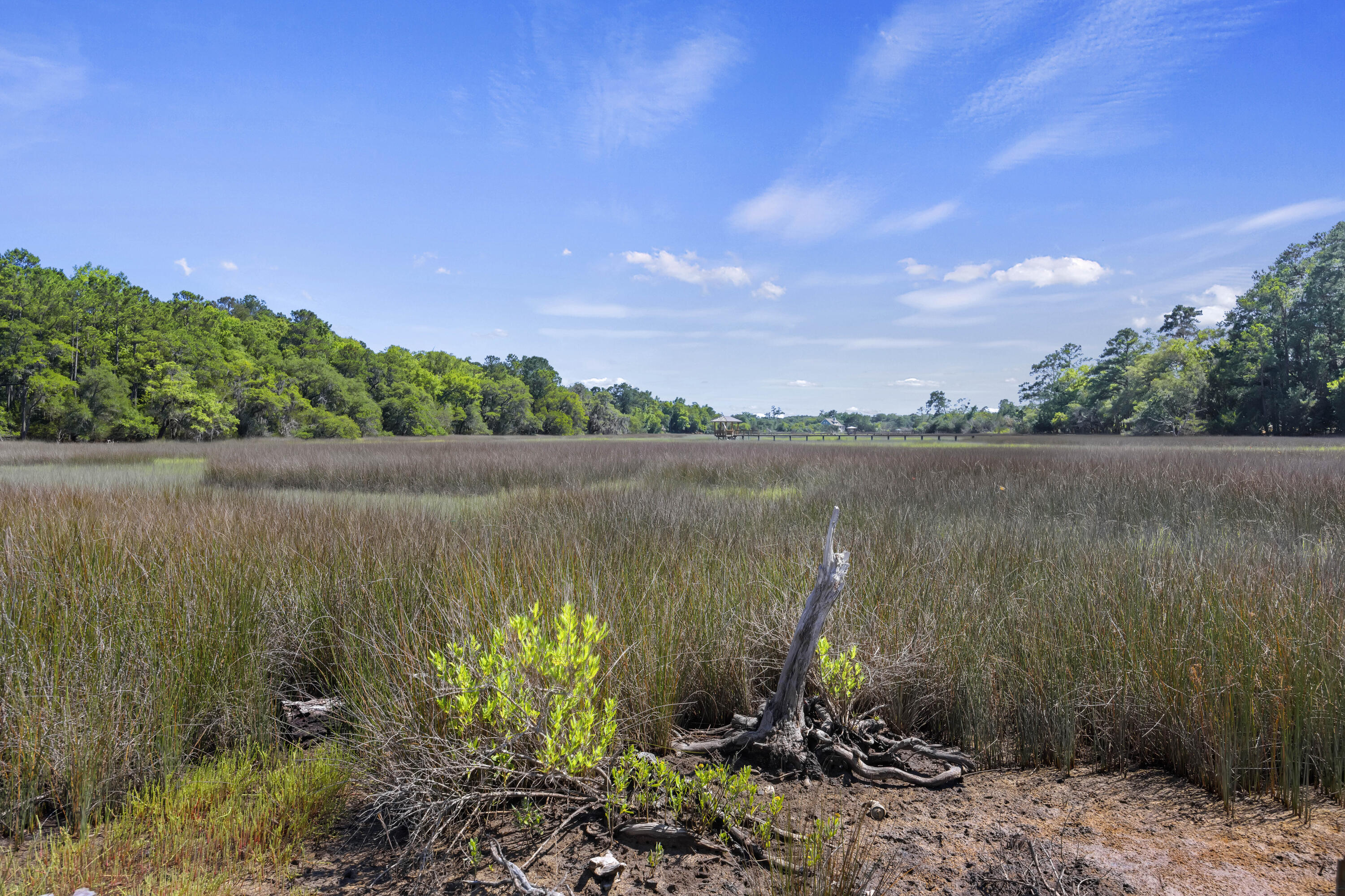 5520 Chisolm Road Johns Island, SC 29455 - Photo 13 of 18 243A2500