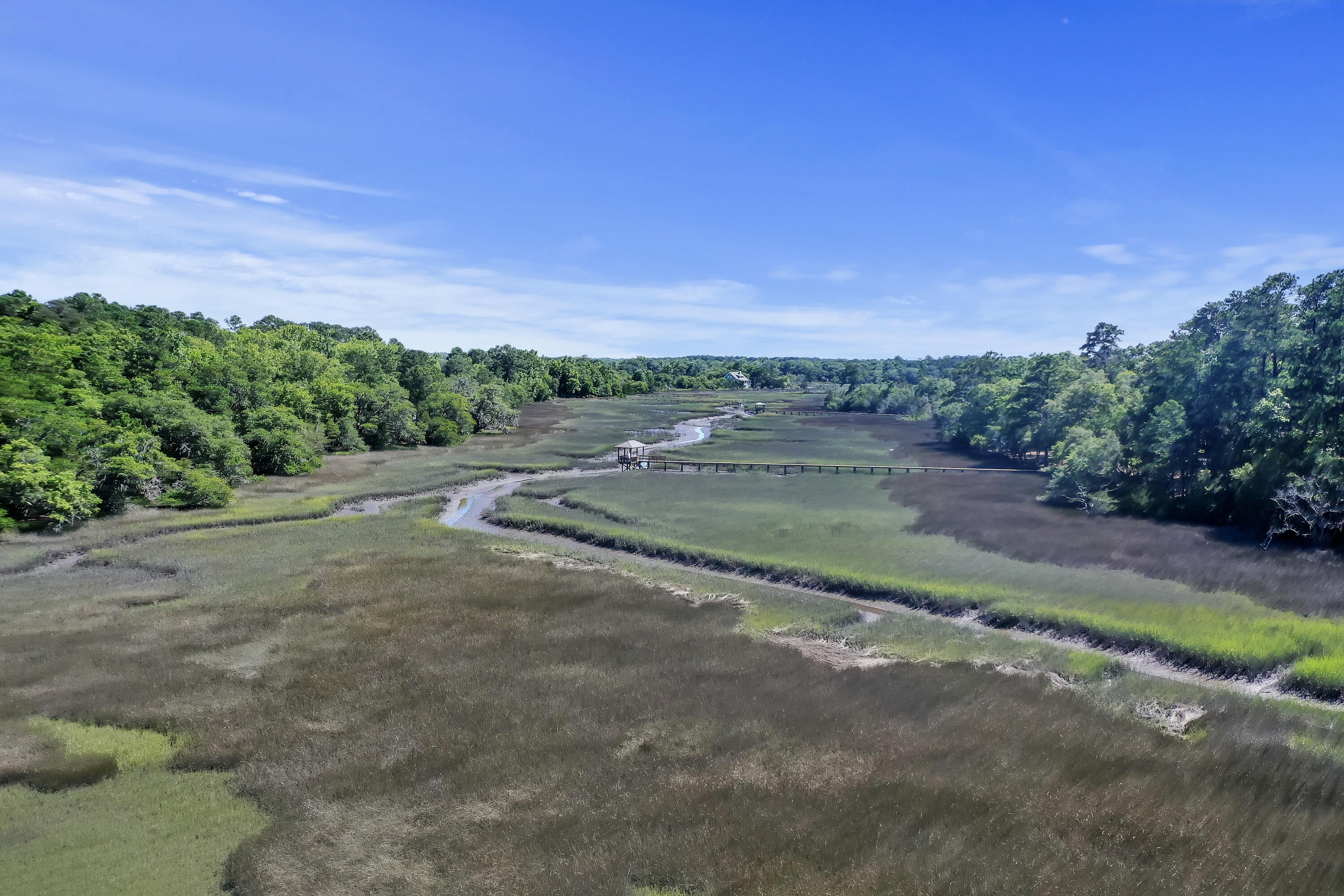 5520 Chisolm Road Johns Island, SC 29455 - Photo 14 of 18 DJI_0365