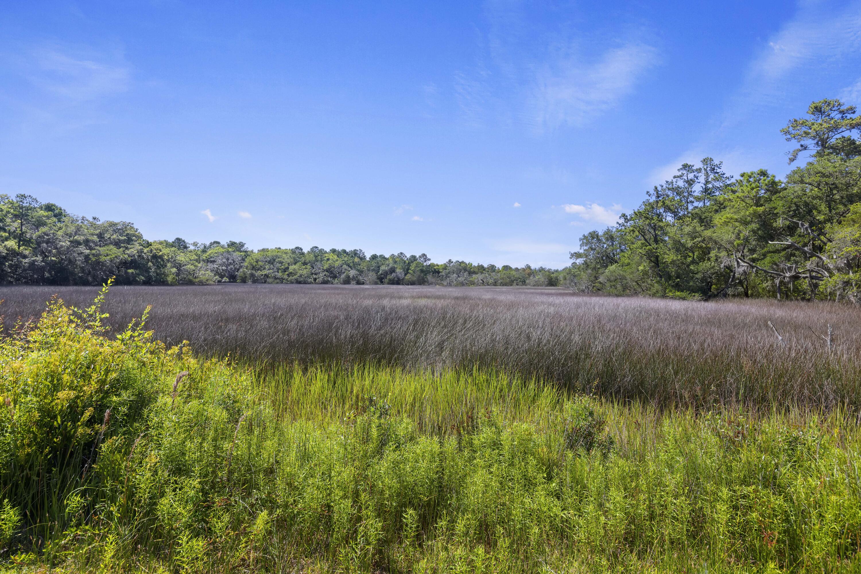 5520 Chisolm Road Johns Island, SC 29455 - Photo 2 of 18 243A2510