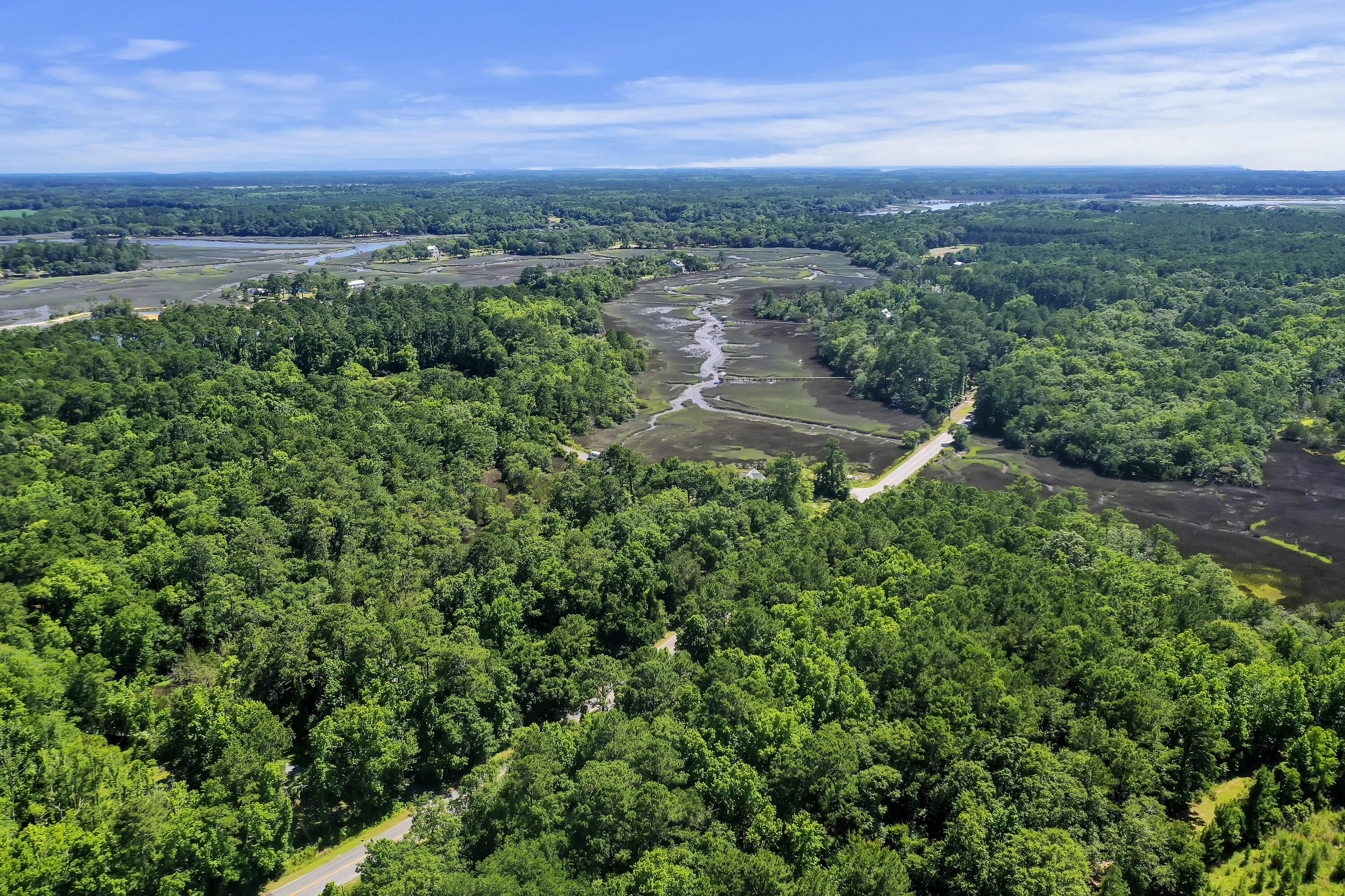 5520 Chisolm Road Johns Island, SC 29455 - Photo 4 of 18 DJI_0347