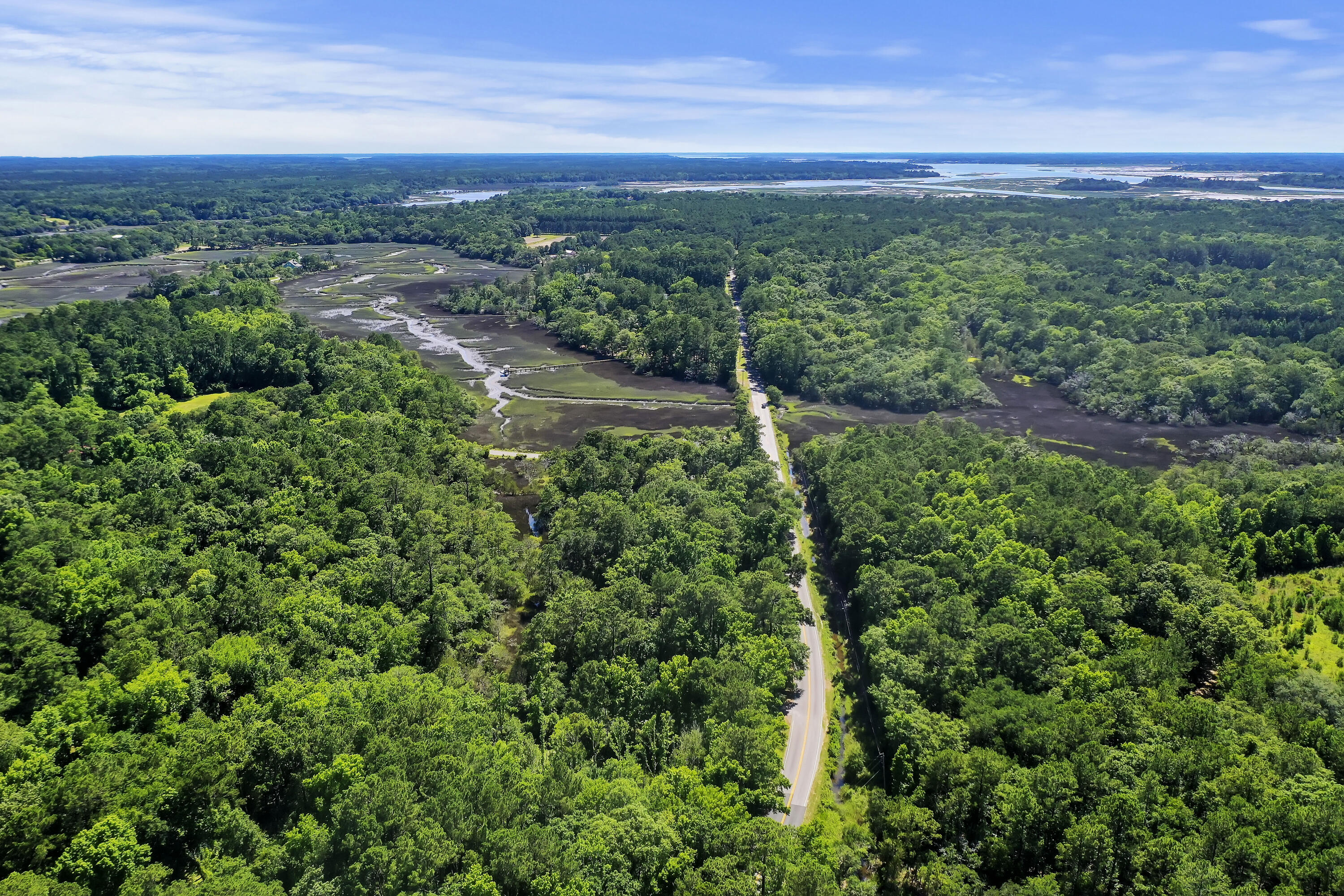 5520 Chisolm Road Johns Island, SC 29455 - Photo 5 of 18 DJI_0359