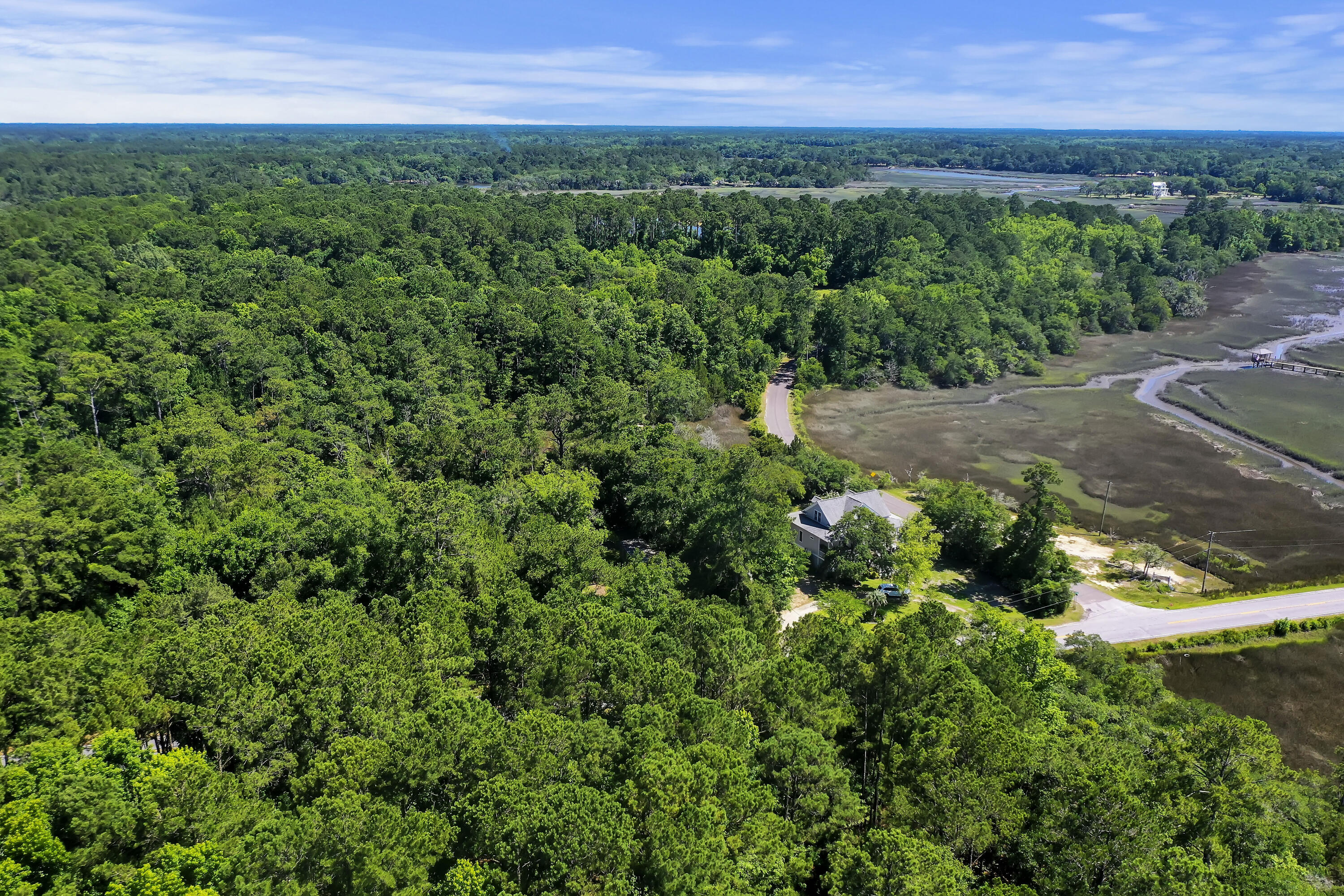 5520 Chisolm Road Johns Island, SC 29455 - Photo 7 of 18 DJI_0344