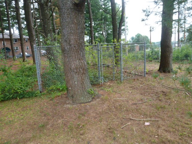 32 Pine Hill Road Nashua, NH 03063 - Photo 25 of 32 Gallery Image 25