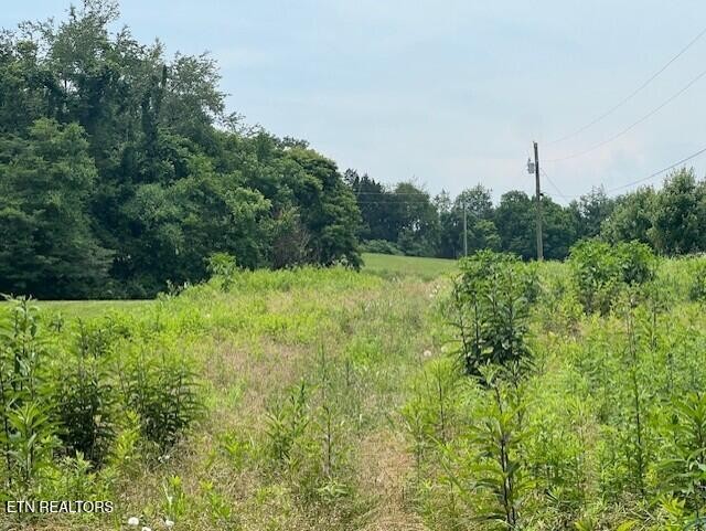 141 Pleasant View Cemetery Road New Market, TN 37820 - Photo 1 of 4 Gallery Image 1