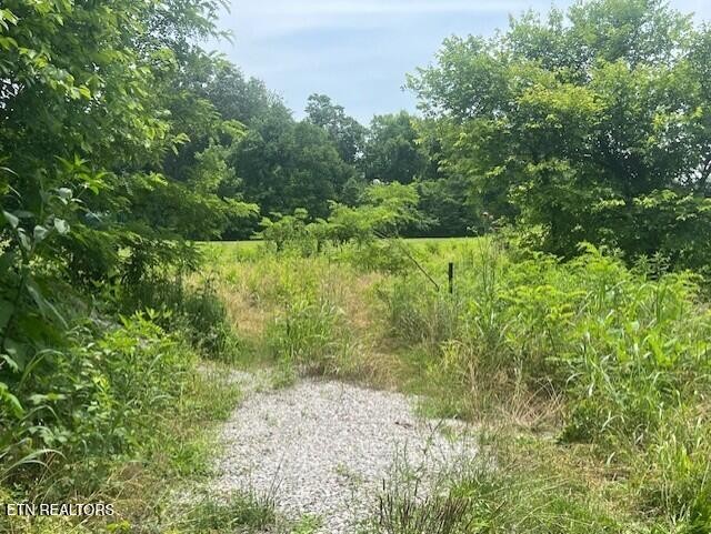 141 Pleasant View Cemetery Road New Market, TN 37820 - Photo 2 of 4 Gallery Image 2