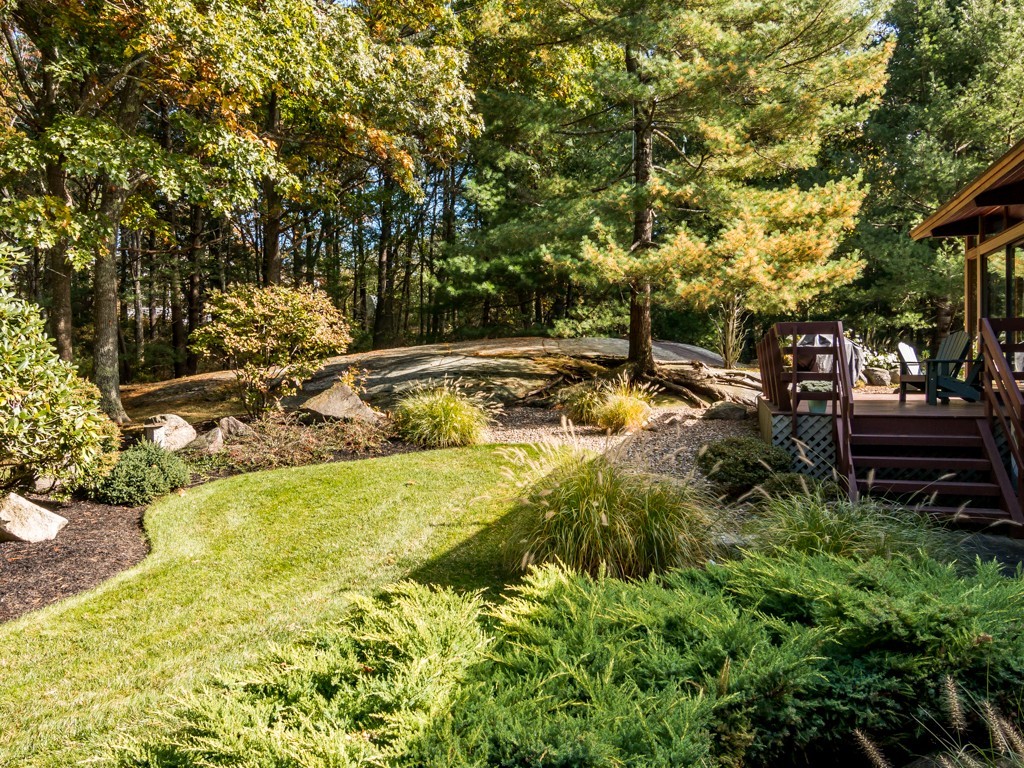 22 Bray Street Gloucester, MA 01930 - Photo 31 of 37 a view of a yard with plants and trees