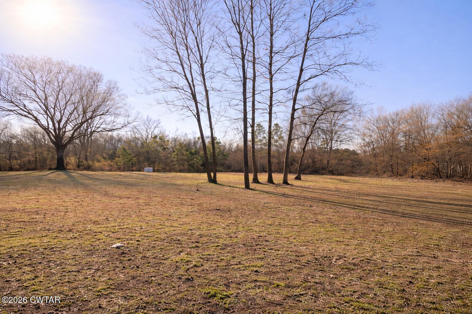 3702 Marvin Chapel Road Brownsville, TN 38012 - Photo 5 of 21 2A85BAA5-D314-4BCD-8612-D8170FB07C8C