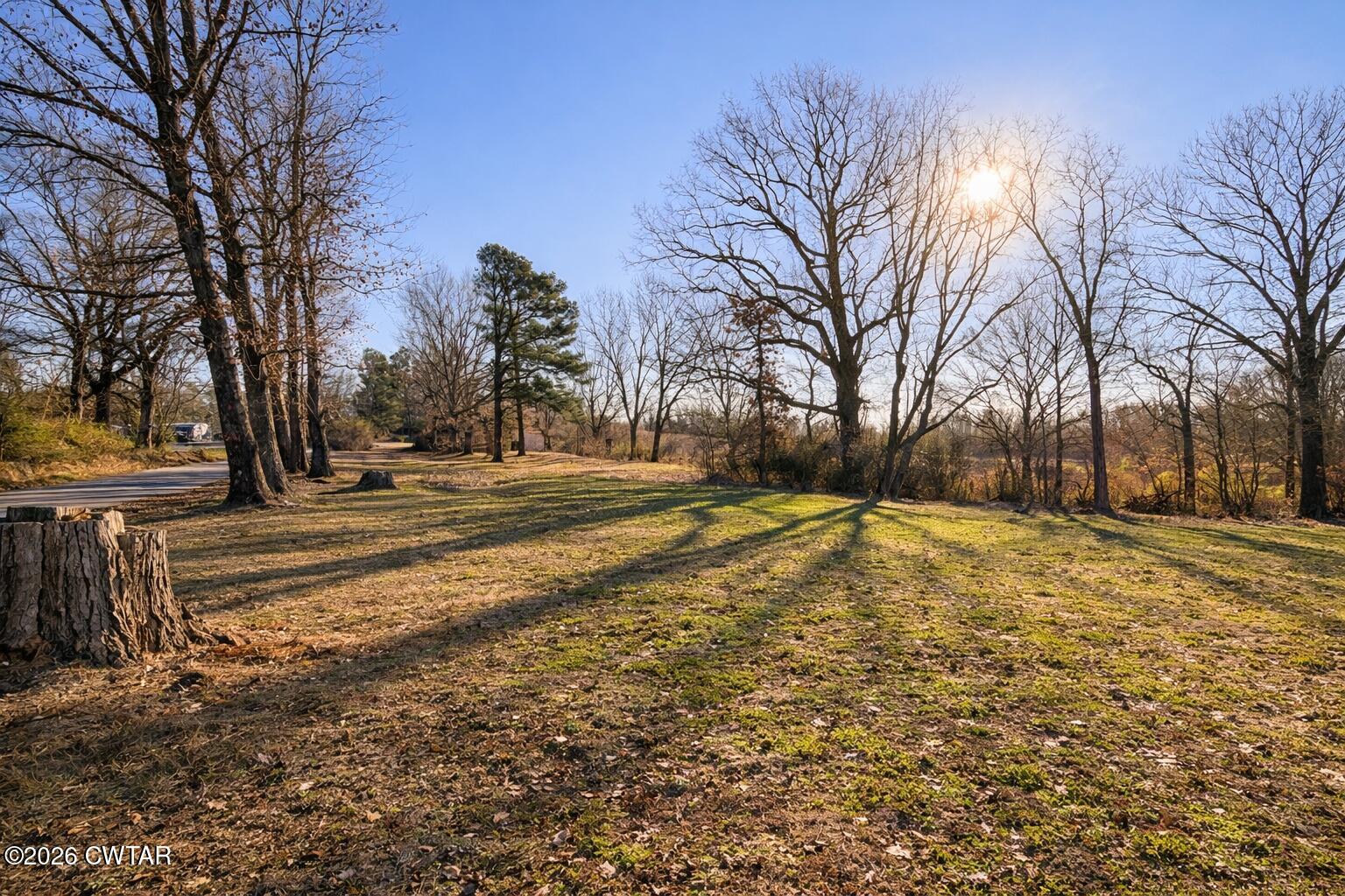 3702 Marvin Chapel Road Brownsville, TN 38012 - Photo 7 of 21 DCB847AE-3497-4436-8DA8-D29B575C371F