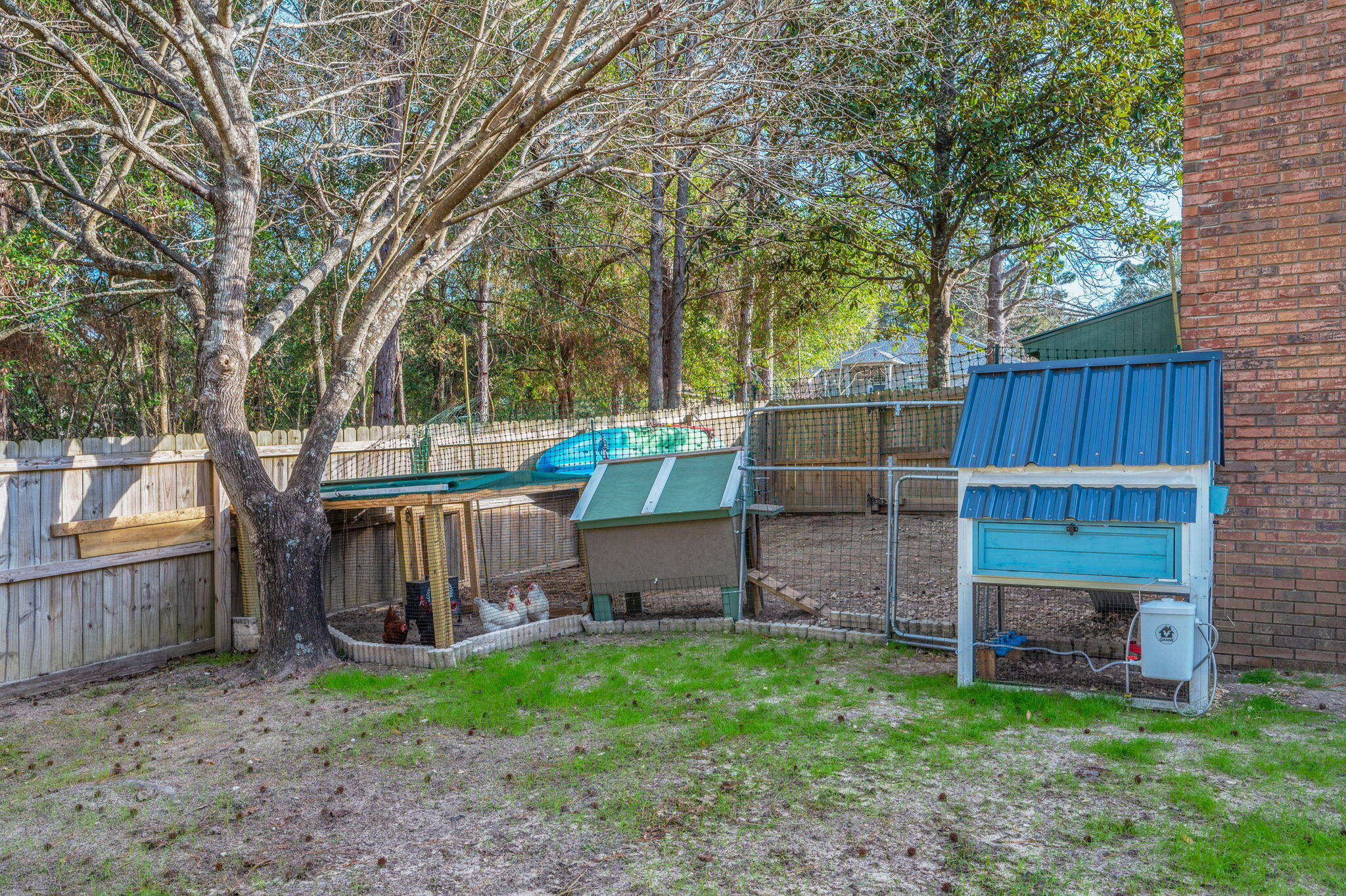 4654 Browning Court Crestview, FL 32539 - Photo 44 of 45 a view of backyard with wooden fence and a large tree