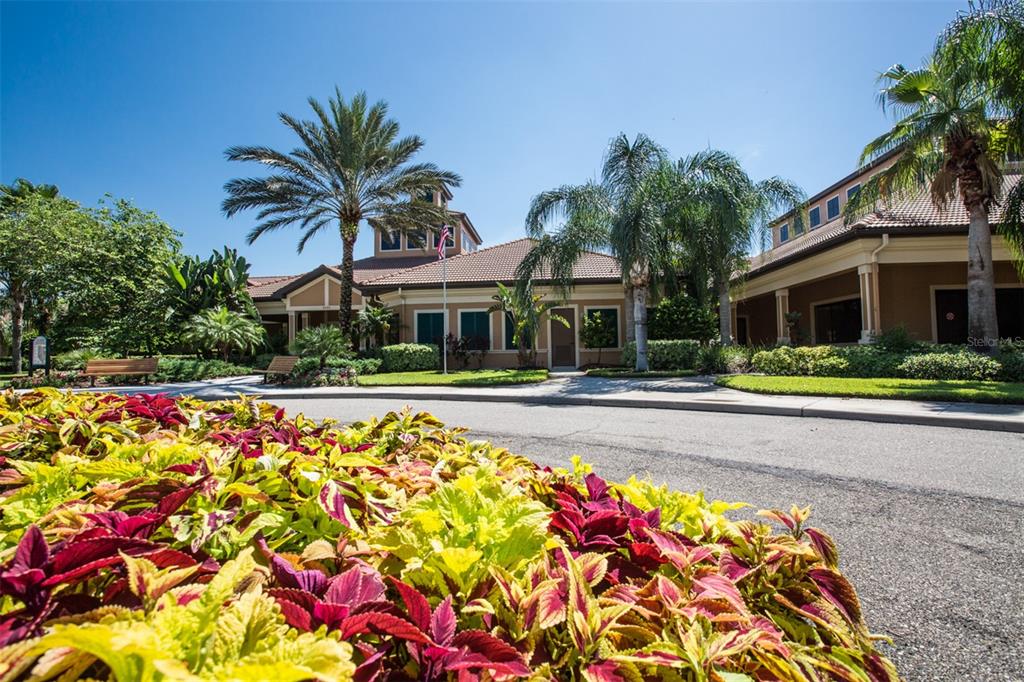 147 Silver Falls Drive Apollo Beach, FL 33572 - Photo 48 of 72