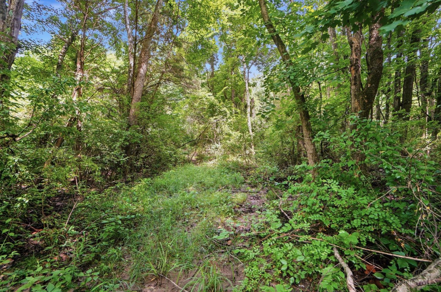 6654 Osceola Road Morrow, OH 45152 - Photo 55 of 58