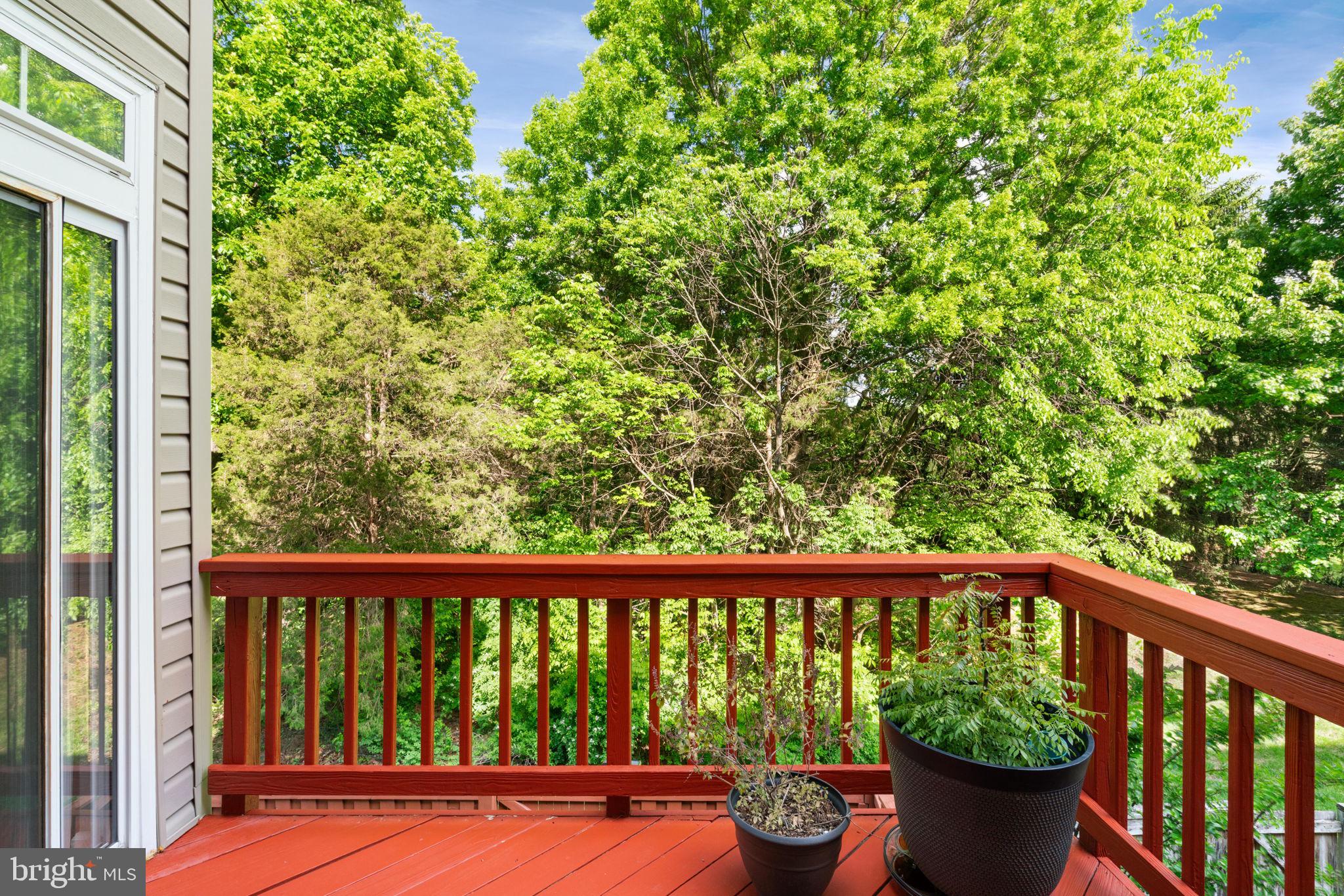 21654 Frame Square Broadlands, VA 20148 - Photo 24 of 43 Serene balcony with lush greenery