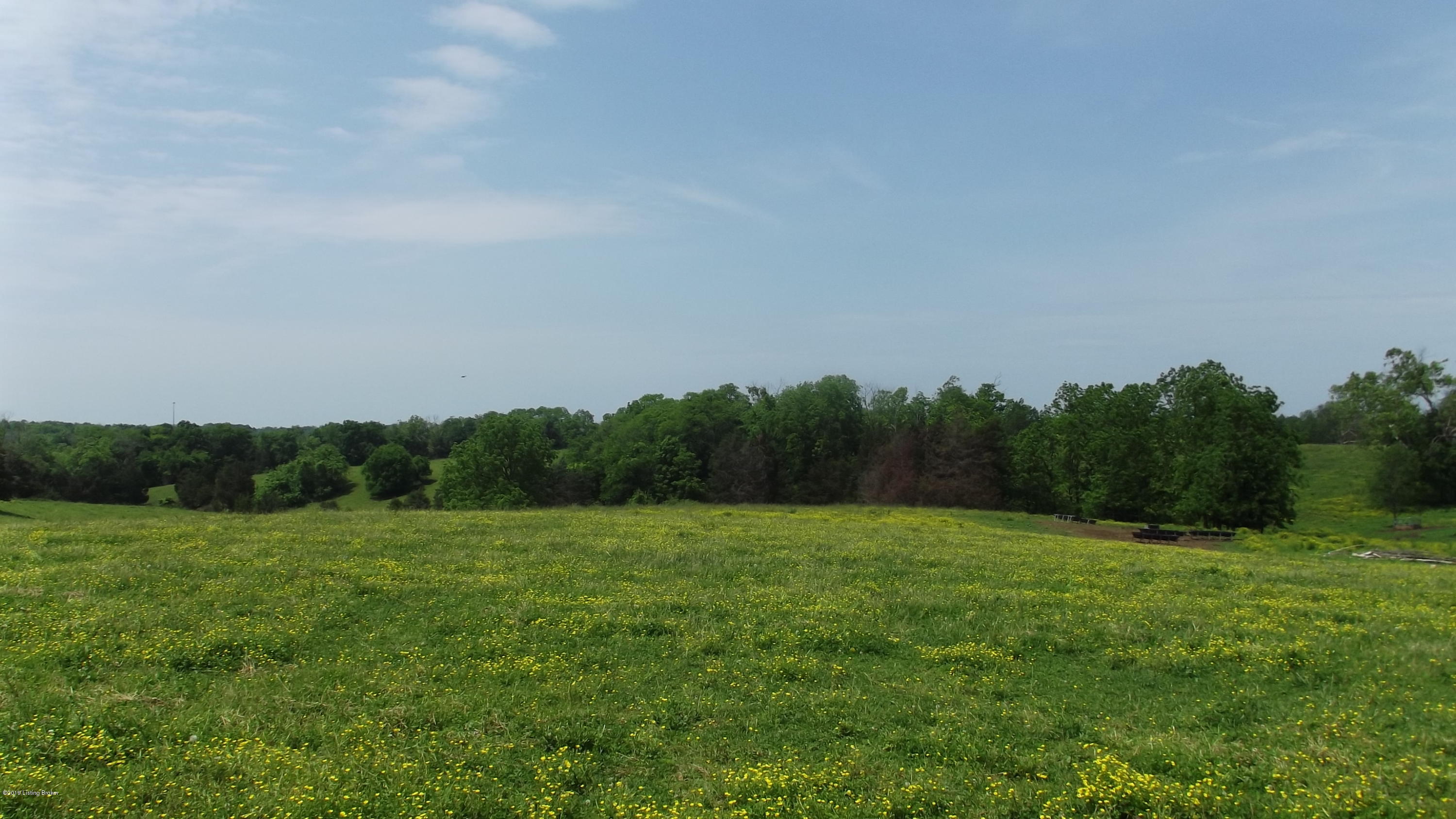 0 Rockbridge Road Shelbyville, KY 40065 - Photo 19 of 21 DSCF6439