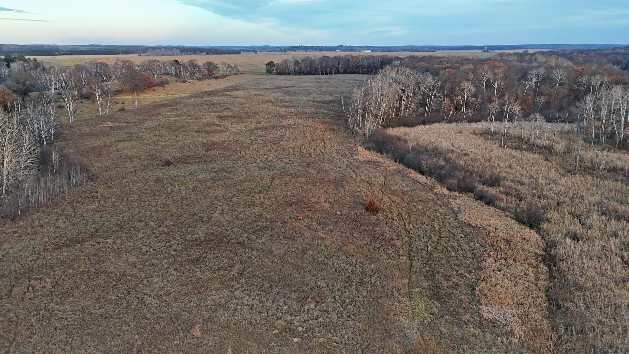 26-xxx 175th Avenue Fort Ripley, MN 56449 - Photo 29 of 46