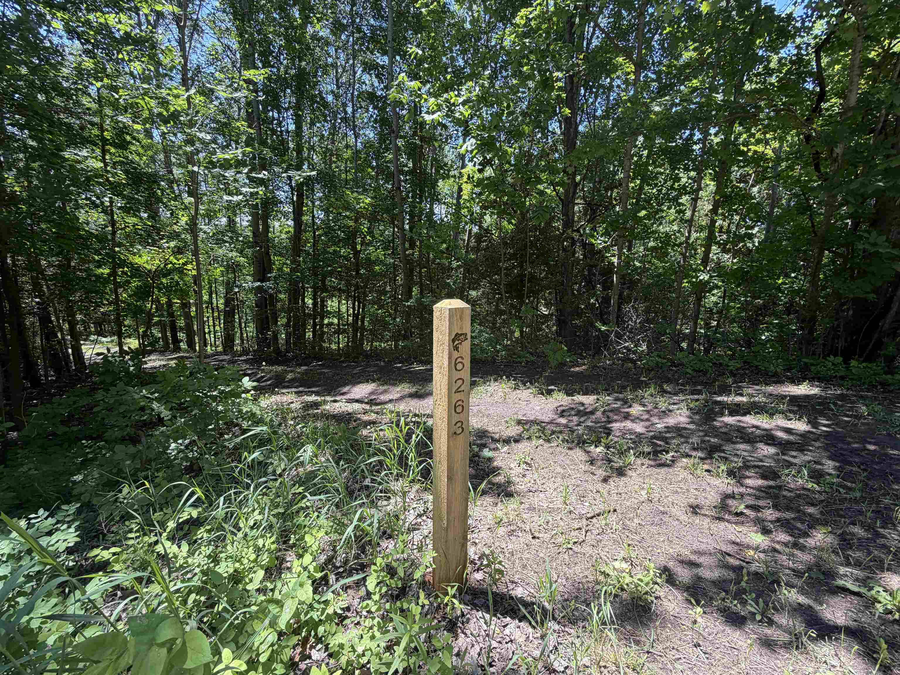 6263 East Jordan Road Ellsworth, MI 49729 - Photo 40 of 40