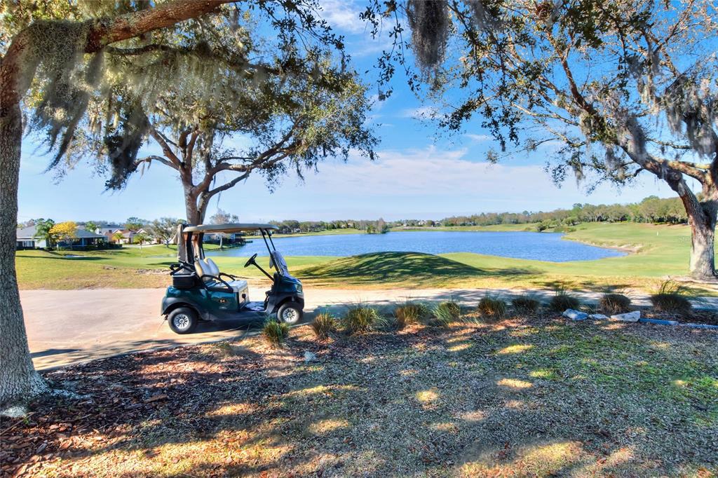 6583 Eagle Ridge Way Lakeland, FL 33813 - Photo 78 of 84