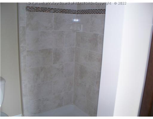 295 Hedrick Road Scott Depot, WV 25560 - Photo 8 of 14 Master Bath/Spa.