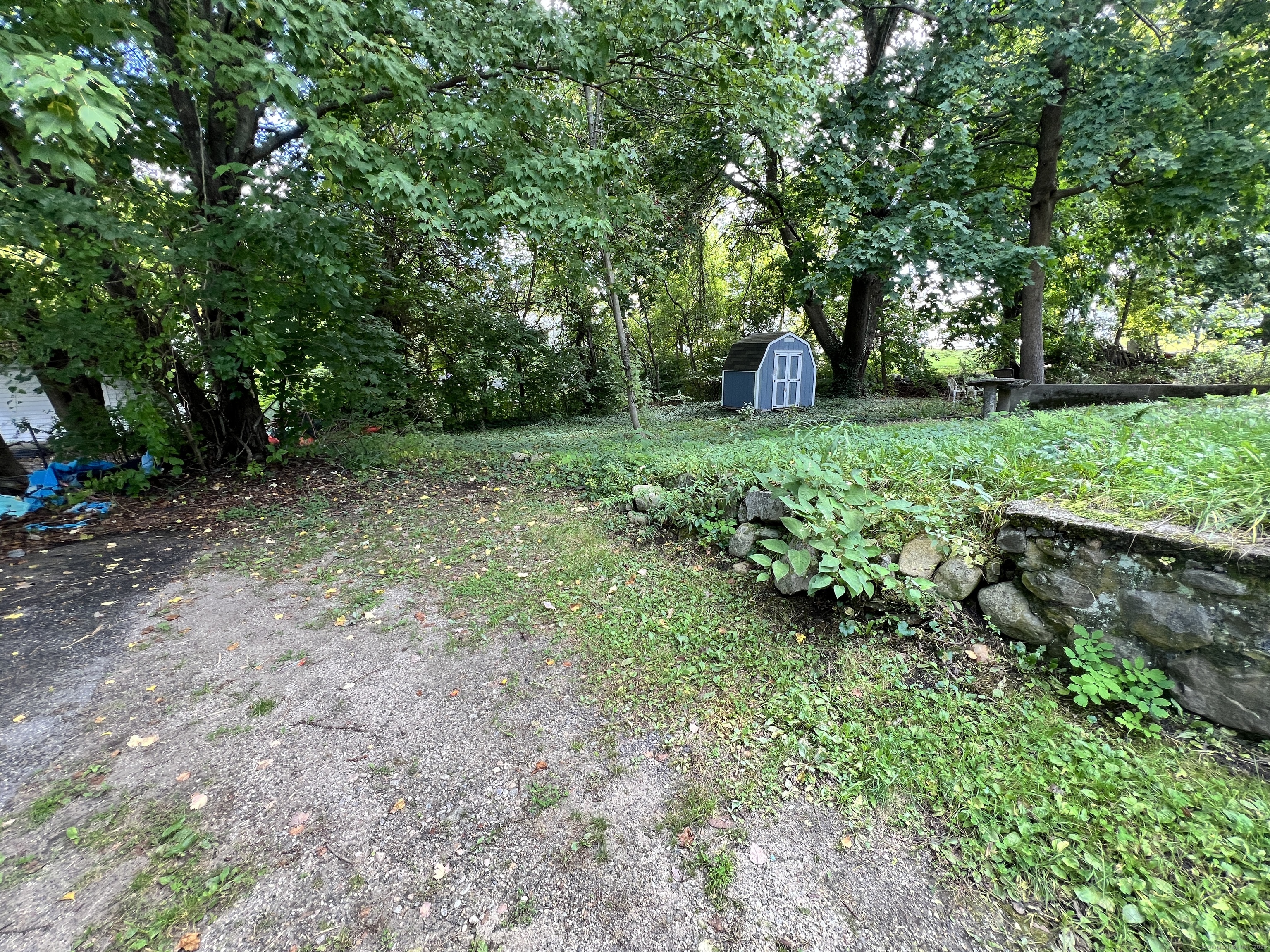 225 Beechwood Avenue Torrington, CT 06790 - Photo 11 of 11 a backyard of a house with lots of green space