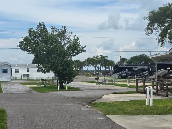 a view of big yard with palm trees