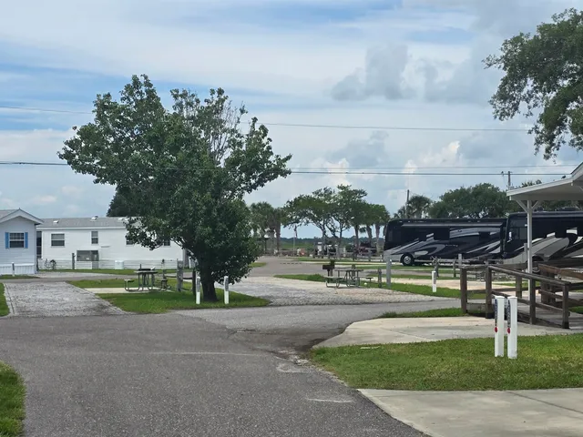 a view of big yard with palm trees