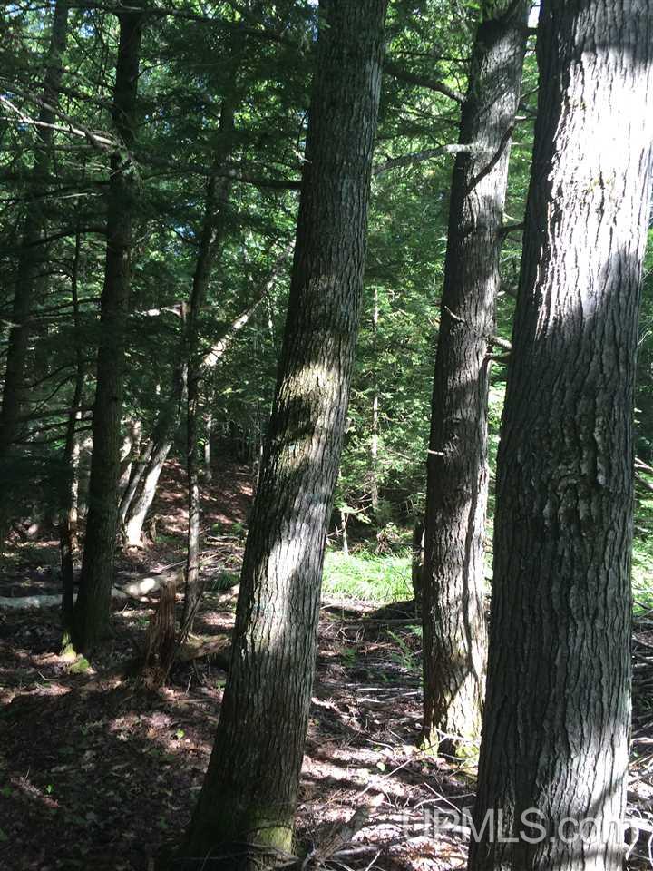 Tbd Off Misery Bay Road, Unit S2SE Toivola, MI 49965 - Photo 4 of 10
