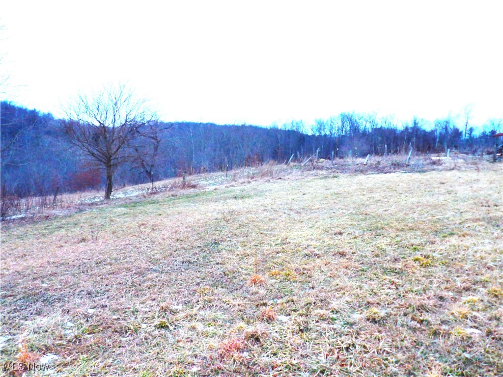 50877 Moore Ridge Road Jerusalem, OH 43747 - Photo 3 of 49