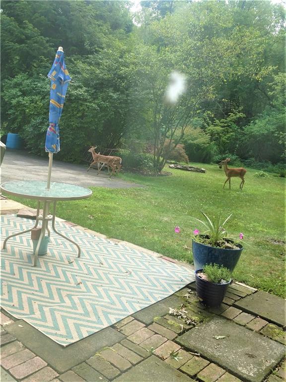 421 Slate Run Road Greensburg, PA 15601 - Photo 21 of 25 Gallery Image 21