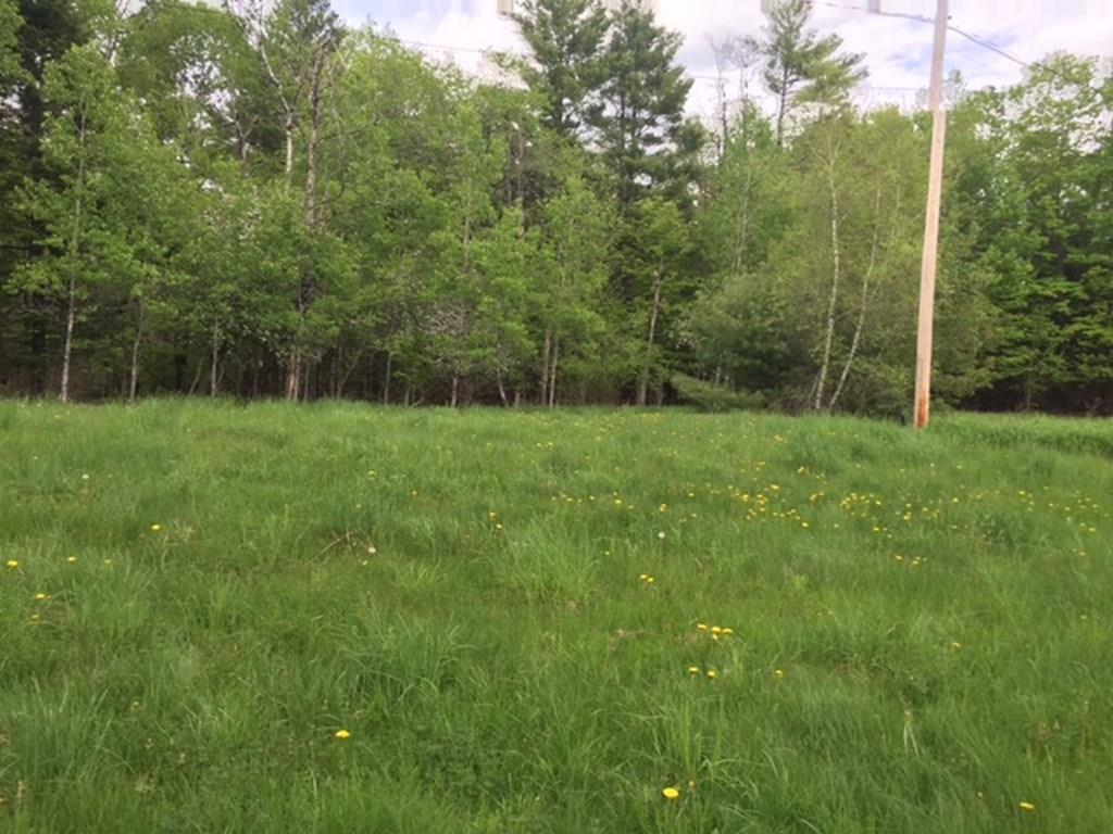 211 Bolstridge Road Corinna, ME 04928 - Photo 3 of 16 Photo