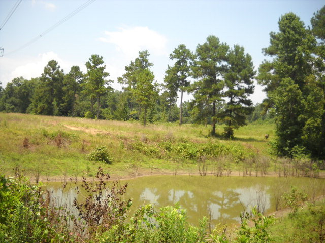 0 Leatherwood Road Tylertown, MS 39667 - Photo 1 of 1 Main View