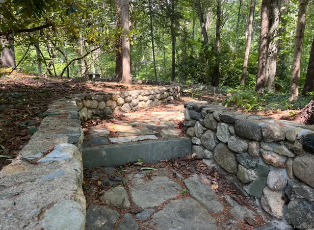 a view of a yard with a tree
