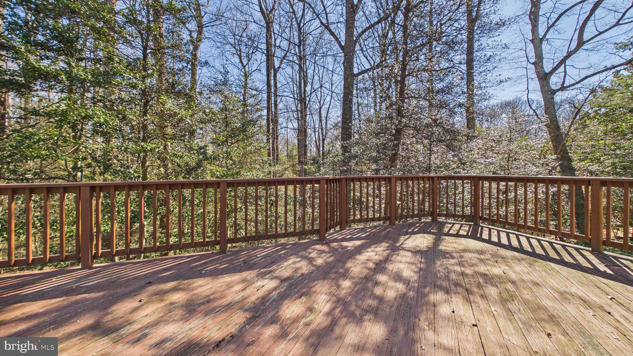 10298 Dunn Meadow Road Vienna, VA 22182 - Photo 66 of 102