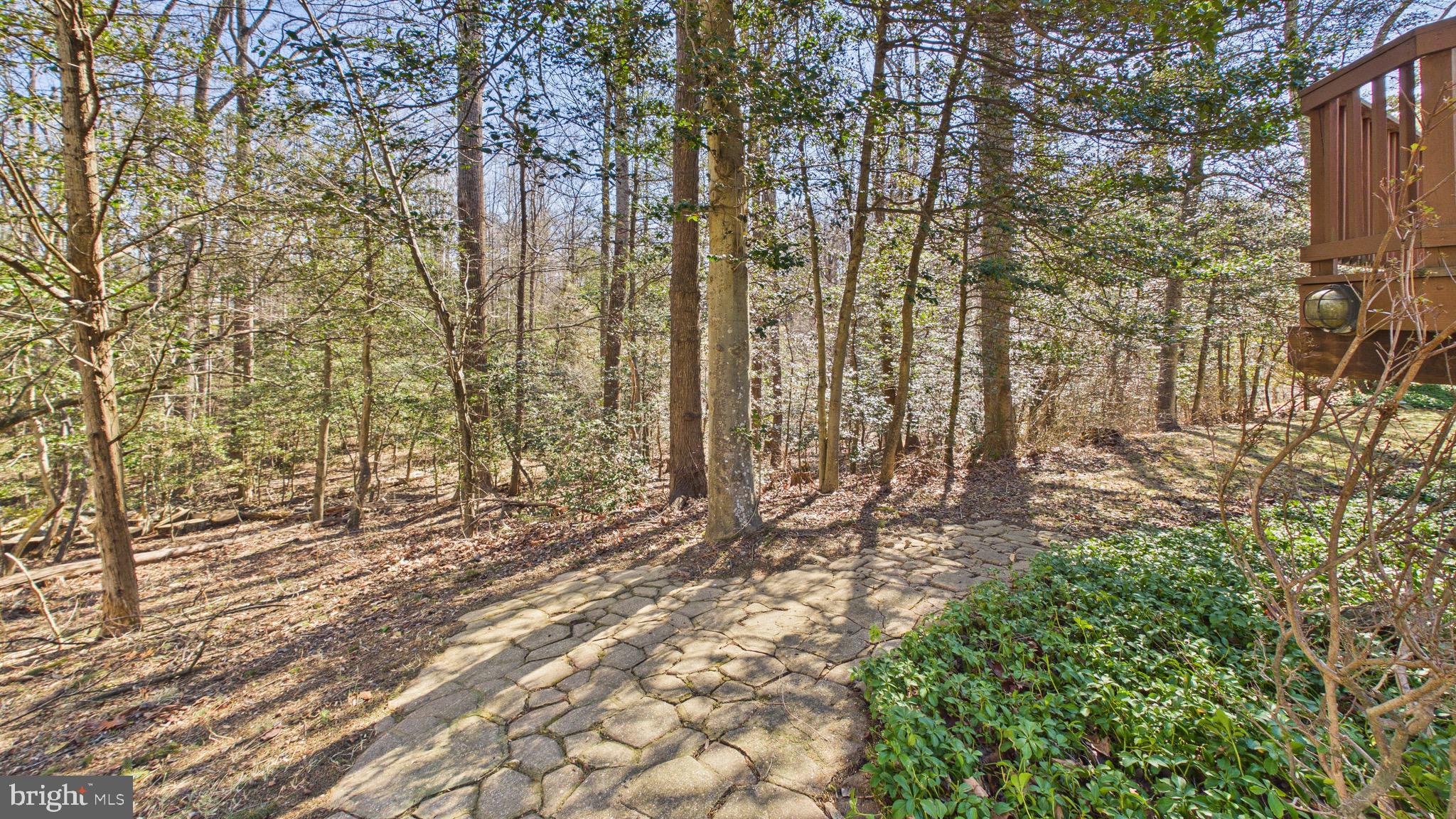 10298 Dunn Meadow Road Vienna, VA 22182 - Photo 69 of 102