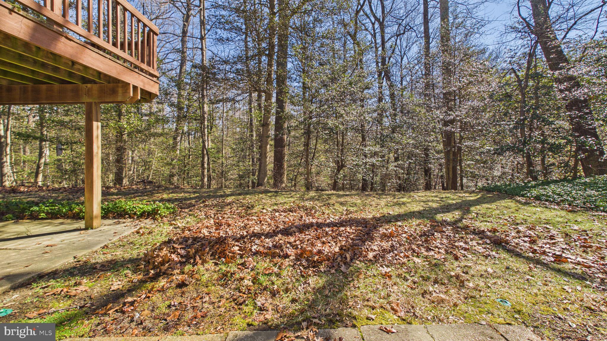 10298 Dunn Meadow Road Vienna, VA 22182 - Photo 72 of 102