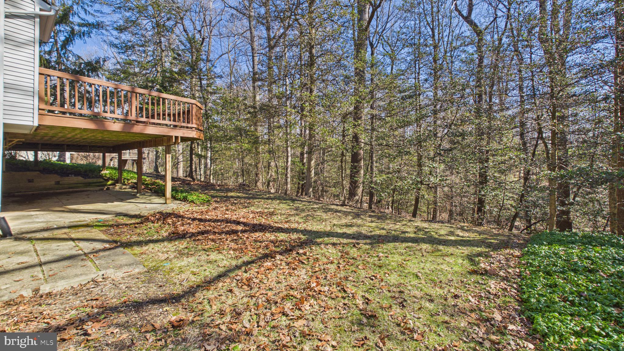 10298 Dunn Meadow Road Vienna, VA 22182 - Photo 73 of 102