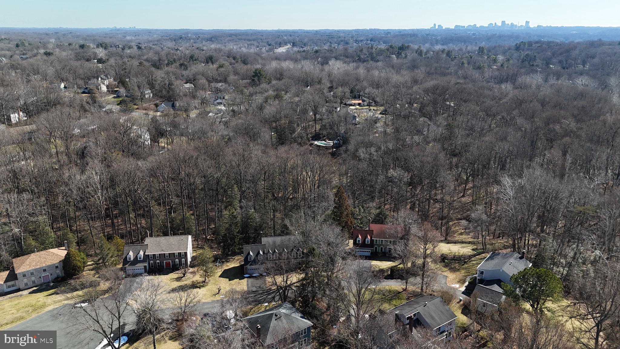 10298 Dunn Meadow Road Vienna, VA 22182 - Photo 96 of 102