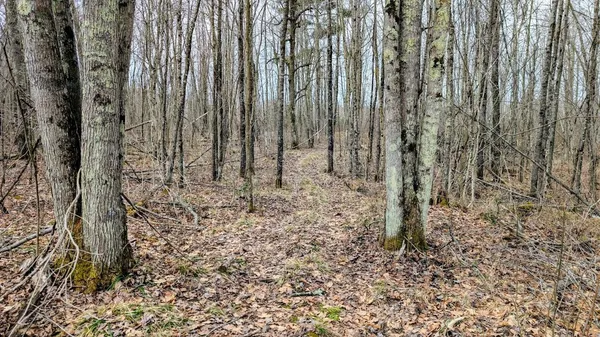 $234,950 | O R North R Applebee Road, Exeland, WI 54835