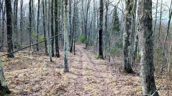 $234,950 | O R North R Applebee Road, Exeland, WI 54835