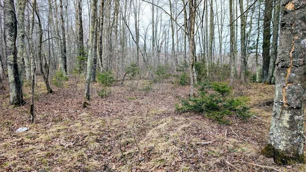 $234,950 | O R North R Applebee Road, Exeland, WI 54835