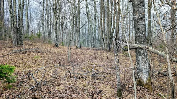 $234,950 | O R North R Applebee Road, Exeland, WI 54835